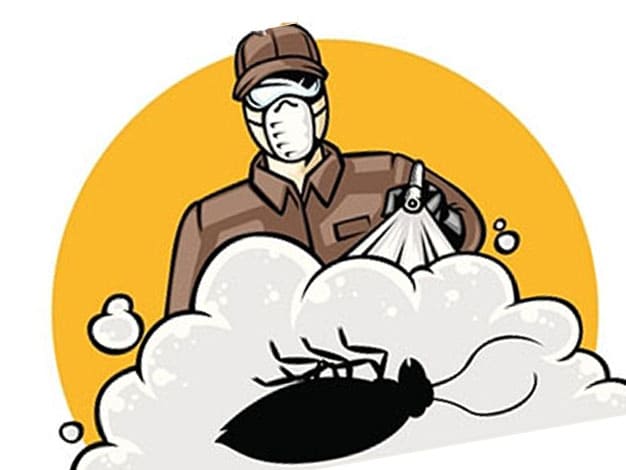 Как проводится уничтожение тараканов туманом?