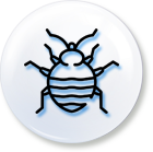 servicepage icon